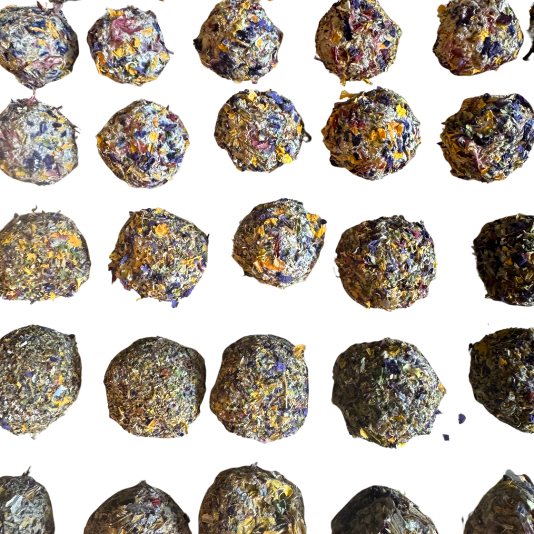 Rows of wildflower seed bombs being made