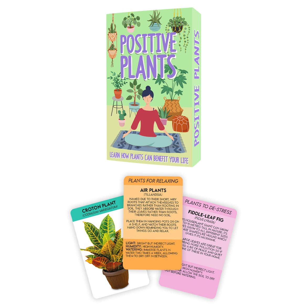 Positive Plants Wellness Cards