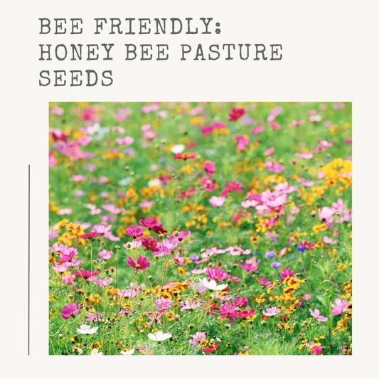 Honey Bee Pasture Seed