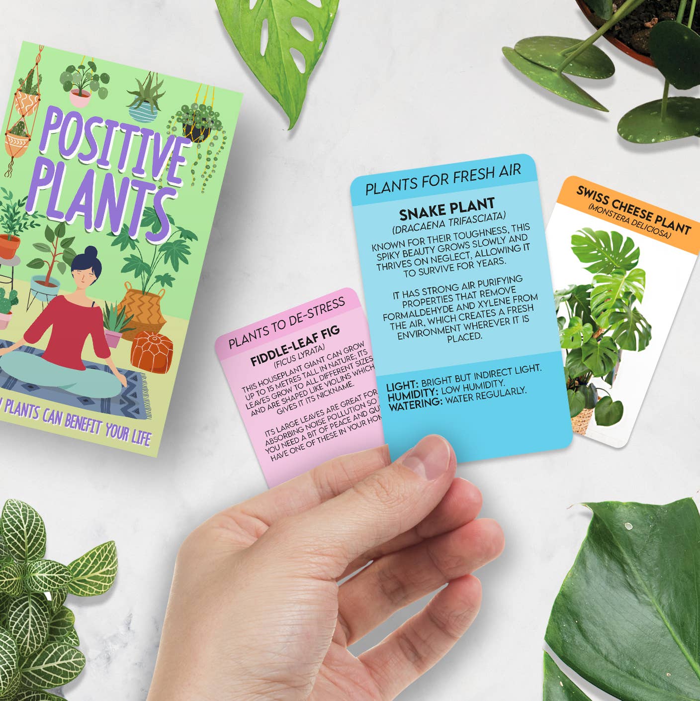 Positive Plants Wellness Cards