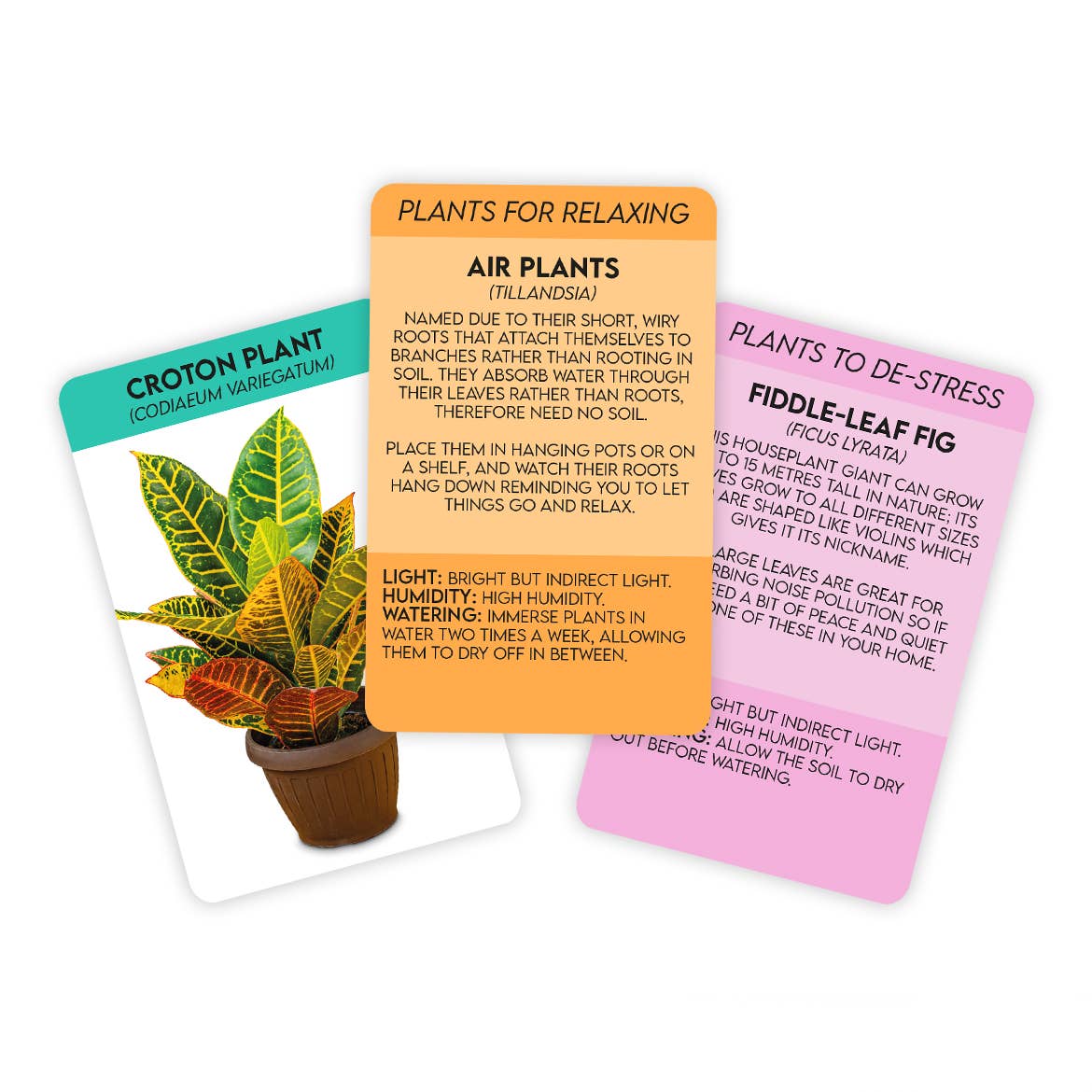 Positive Plants Wellness Cards