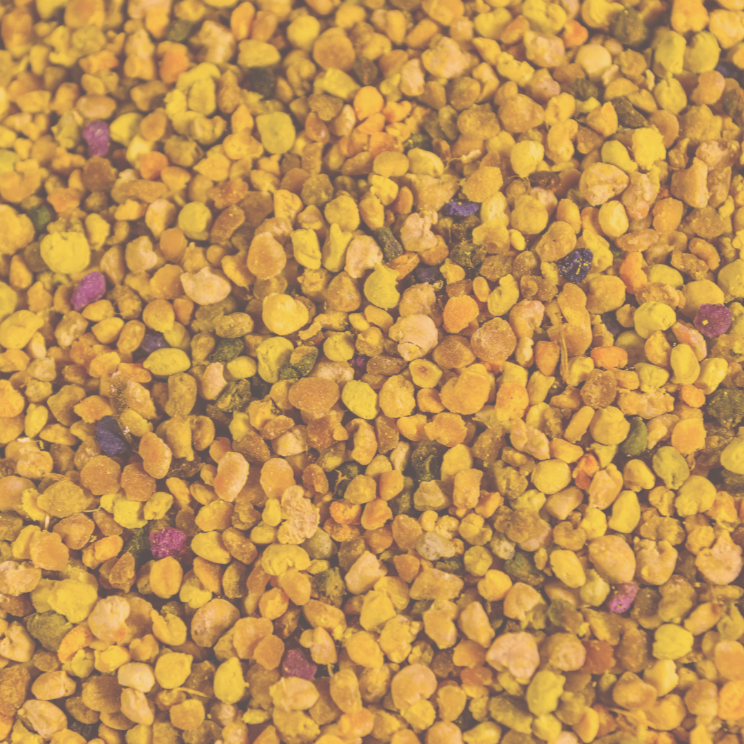 Close-up of small yellow-orange pebble-like granules filling the frame, with a few scattered purple and green flecks.